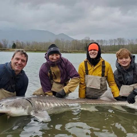 A group of people are standing next to a large fish in the water.