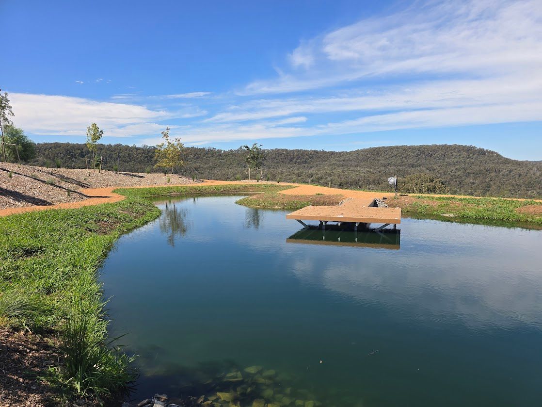 A large tree stump is being transported on a flatbed truck.