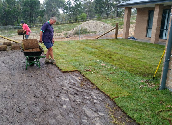 A man is pushing a wheelbarrow full of grass in a yard.