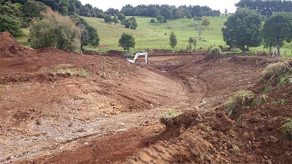 A large pile of dirt in a field with trees in the background.