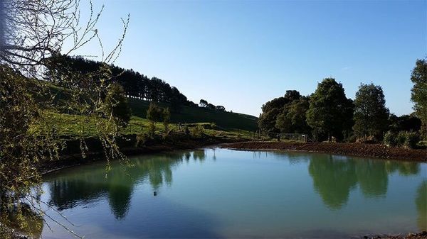 There is a small pond in the middle of a field with trees in the background.
