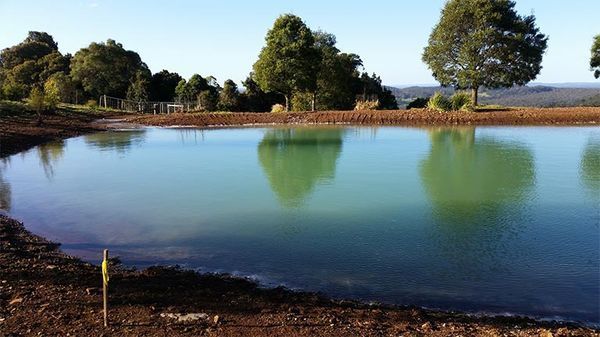 A large body of water with trees in the background