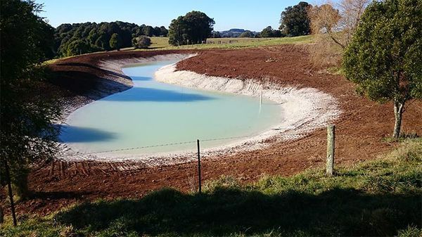 There is a small pond in the middle of a field surrounded by trees.