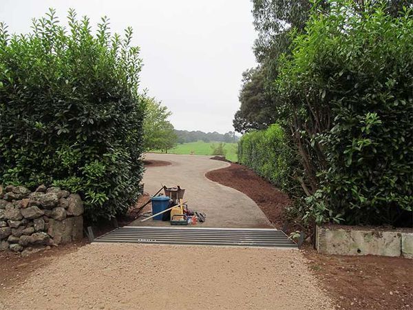 A dirt road is surrounded by trees and bushes.