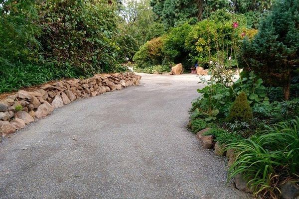 A gravel road going through a lush green forest.