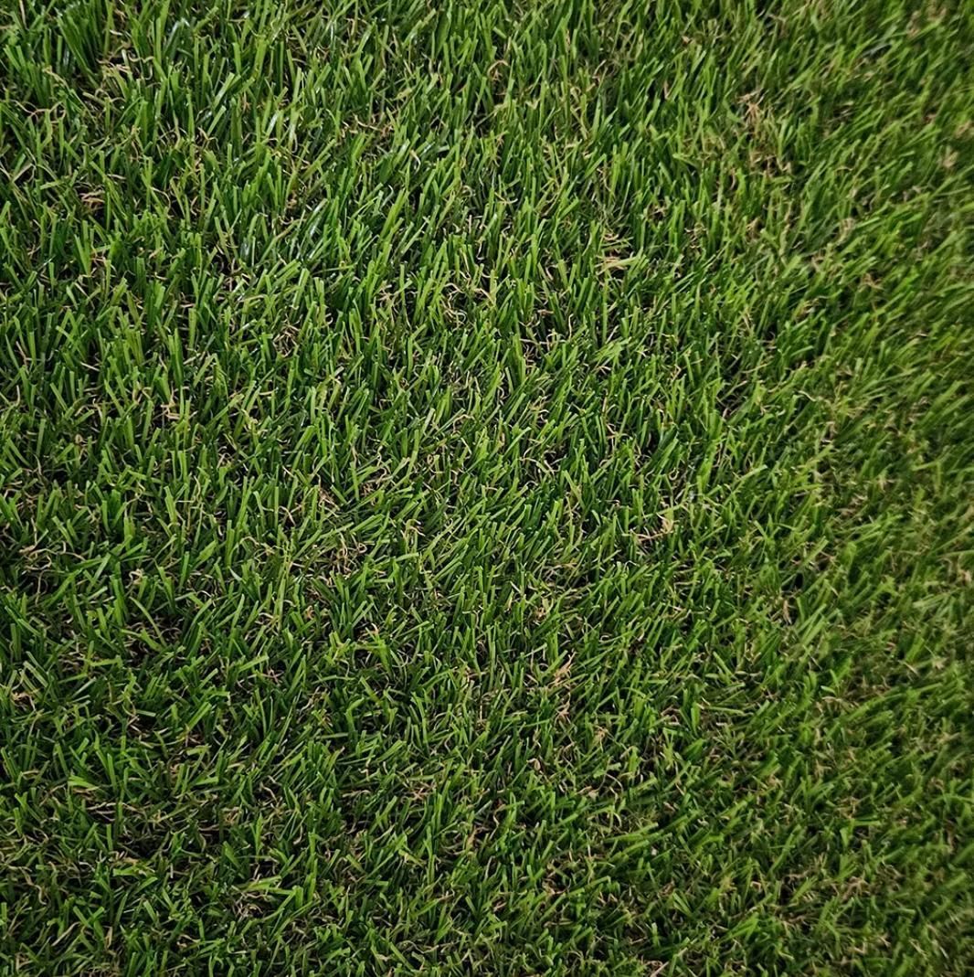 Vista verde de cerca de un césped exuberante y vibrante.