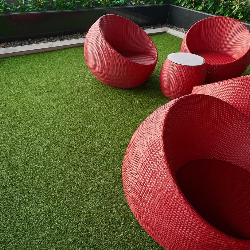 Vista verde de cerca de un césped exuberante y vibrante.