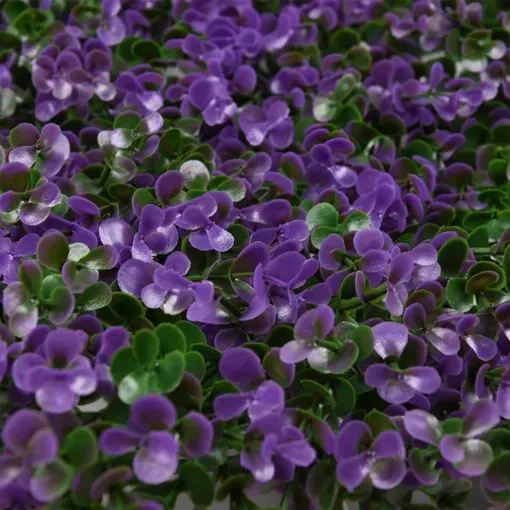 Jardín Vertical Verbena MZ188003G