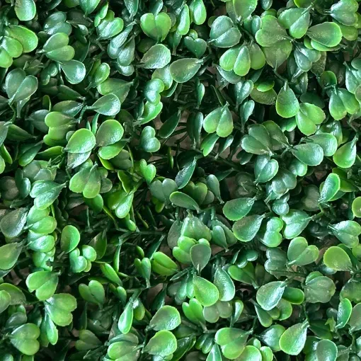 Jardín Vertical Buxus MZ188014C