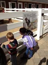 Children Outside the Classroom — Woodridge, IL — Montessori of Woodridge