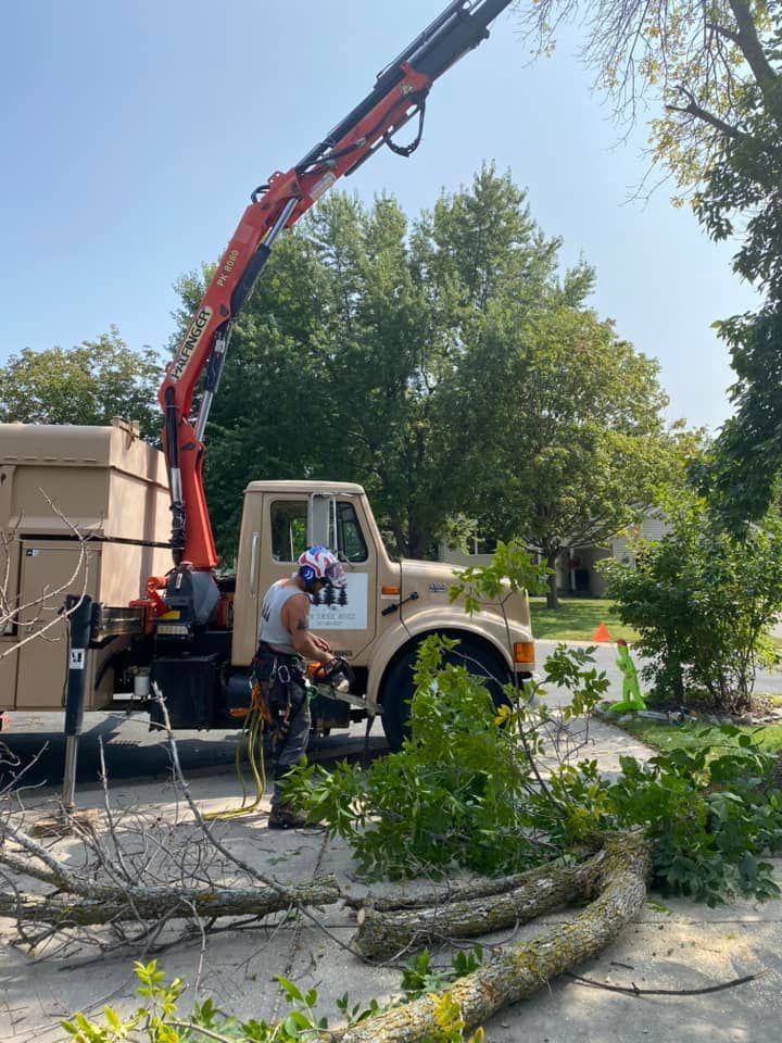 Man with chainsaw, cutting tree branches with a crane truck in a sunny residential area.