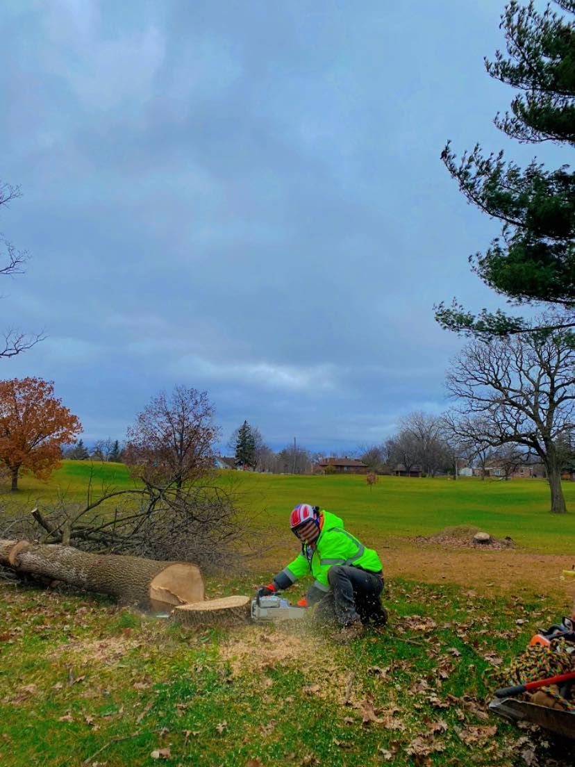 Arborist in a bright green jacket cutting a log with a chainsaw in a grassy field under a cloudy sky.