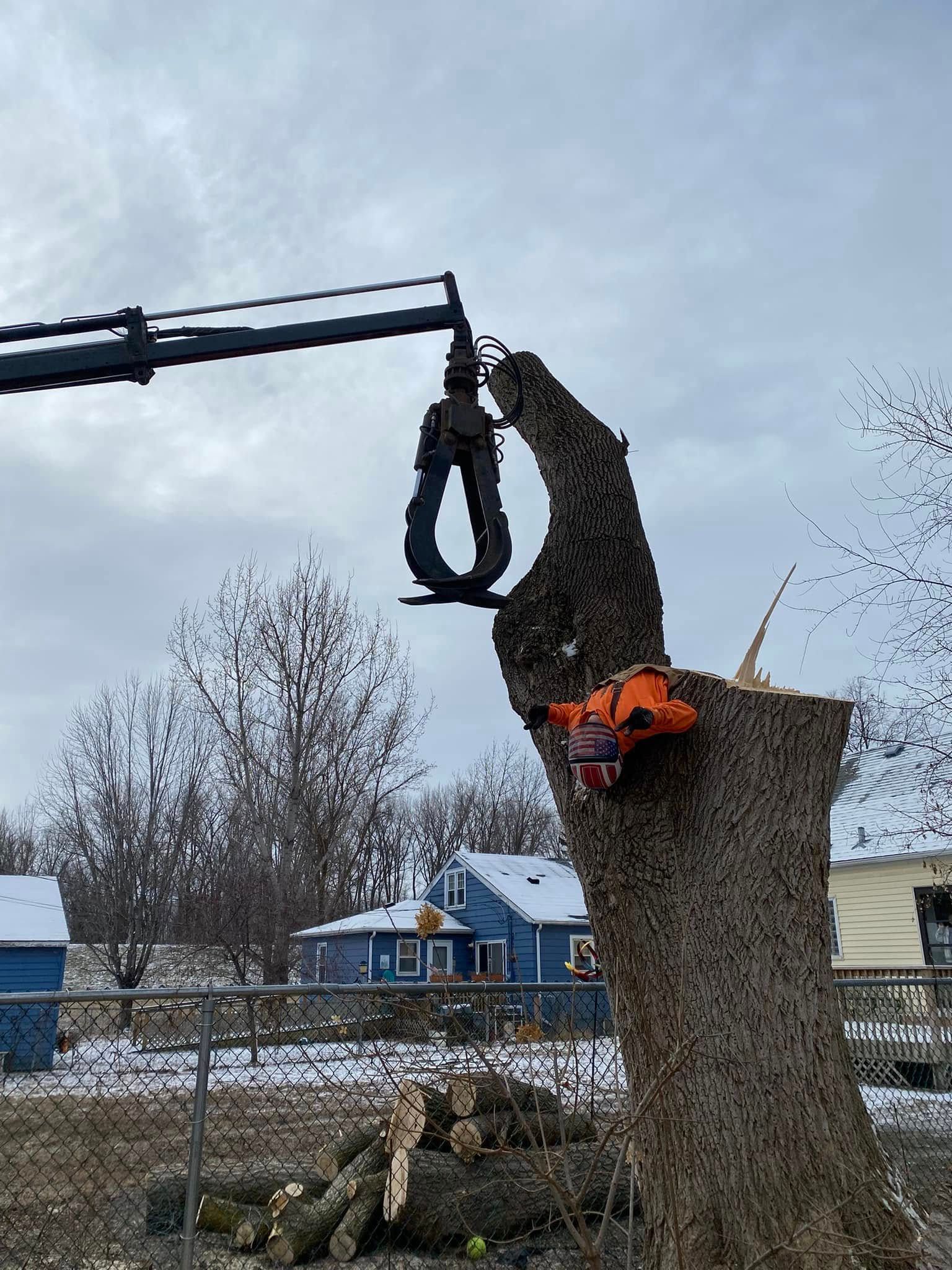 Crane with grapple cutting a tree trunk. A chainsaw is on the trunk. Snowy backyard with houses.