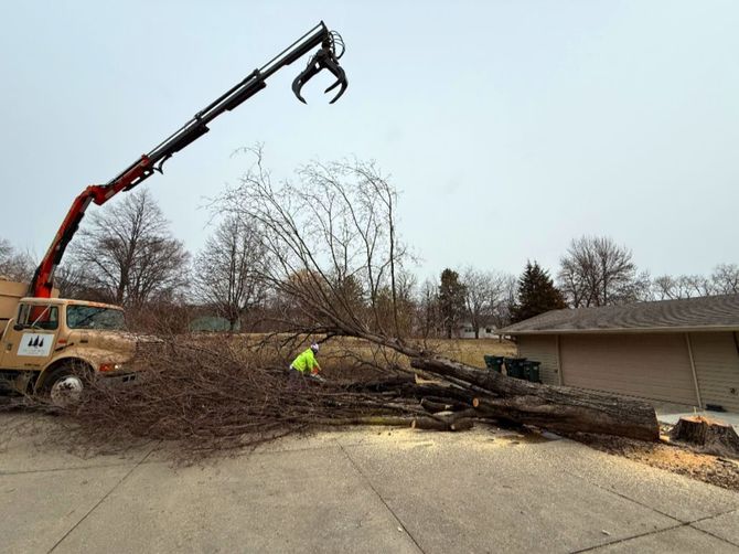 A tree service truck removes a fallen tree from a driveway. A worker in yellow stands nearby.