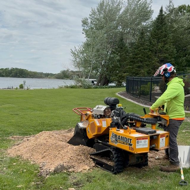 Stump Grinding Waconia MN | MN Tree Boss