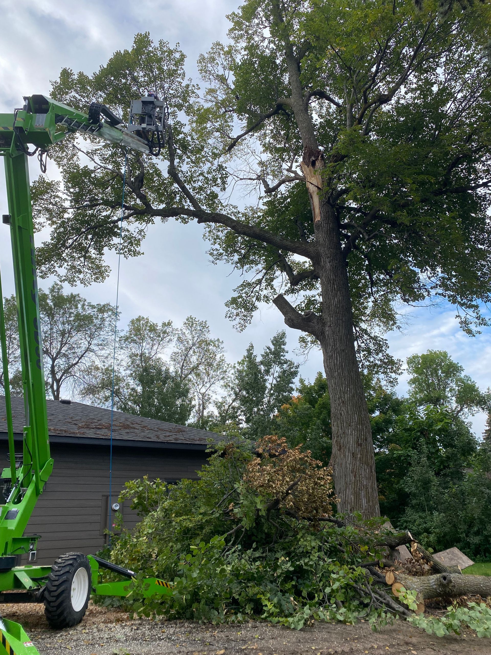 Crane truck loading a large tree log into a trailer on a sunny day by a road.