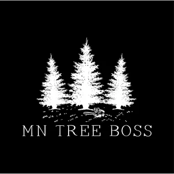 White silhouette of three pine trees above the words 