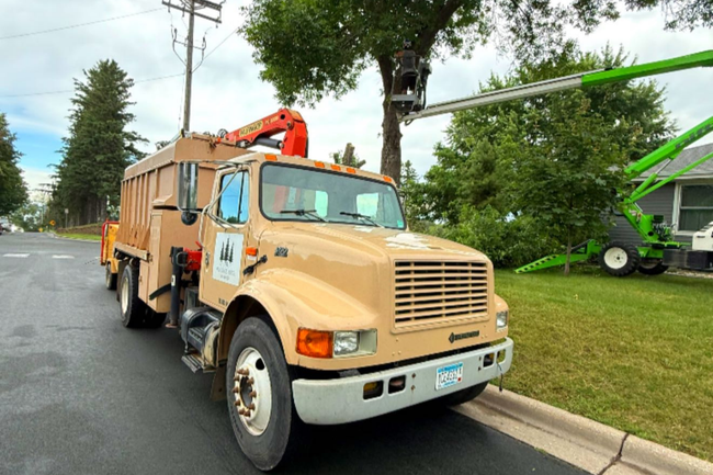 Tan tree service truck and green lift trimming a tree on a residential street.