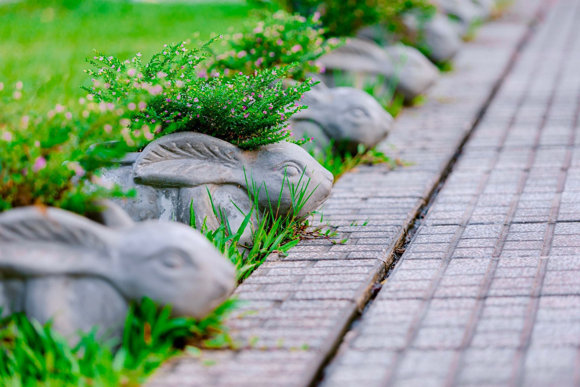 Stone border with green plants beside a paved walkway