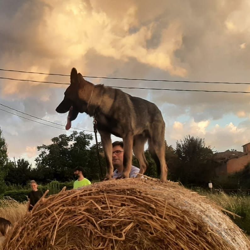 Una coppia si siede in un bar sul lungomare e sorseggia un drink, ammirando il lago e le montagne al tramonto.