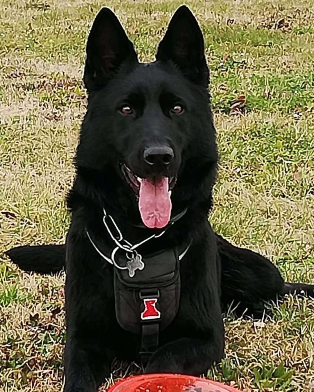 Persone su un molo che nuotano in un lago al tramonto con le montagne sullo sfondo.