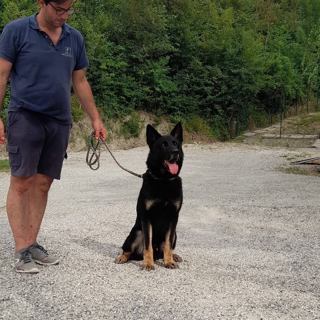 Uomo con cane al guinzaglio, entrambi all'aperto. Il cane è nero focato, seduto, con la lingua fuori.