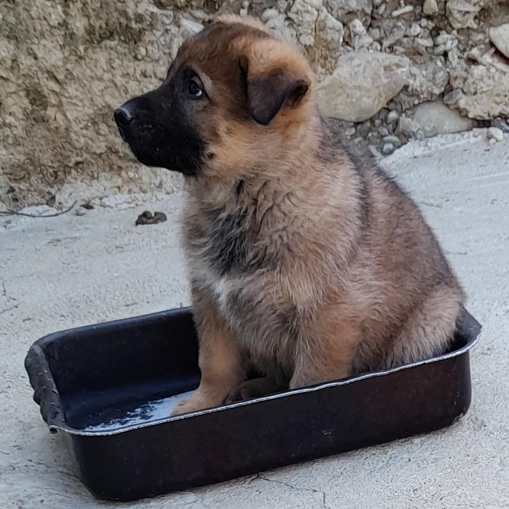 Un DJ con una maglietta nera e scritte in cirillico suona musica all'aperto, vicino all'acqua, al tramonto.