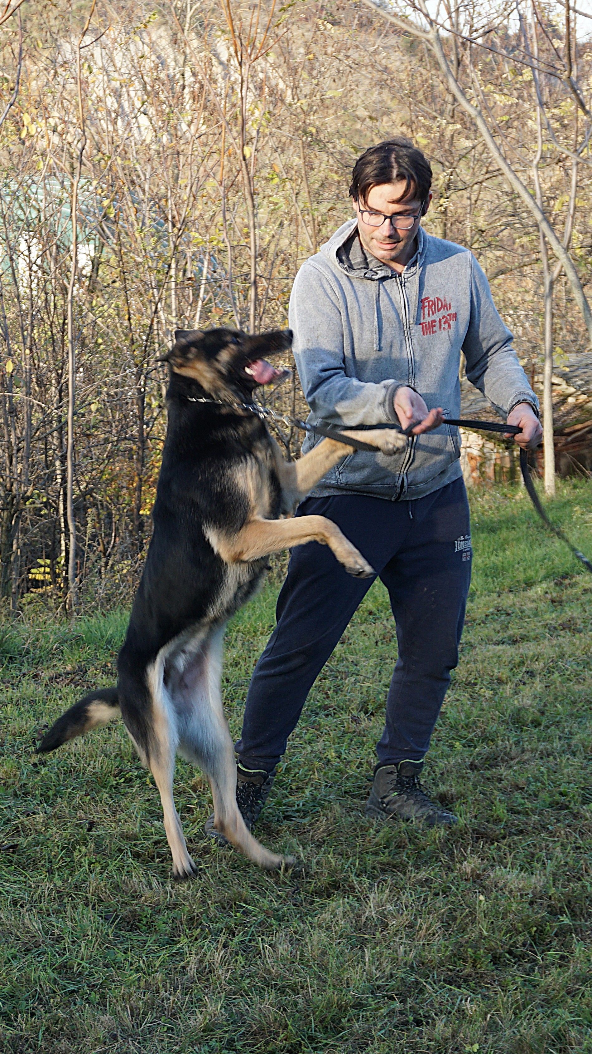Uomo che tiene un guinzaglio, cane in piedi sulle zampe posteriori, all'aperto sull'erba.