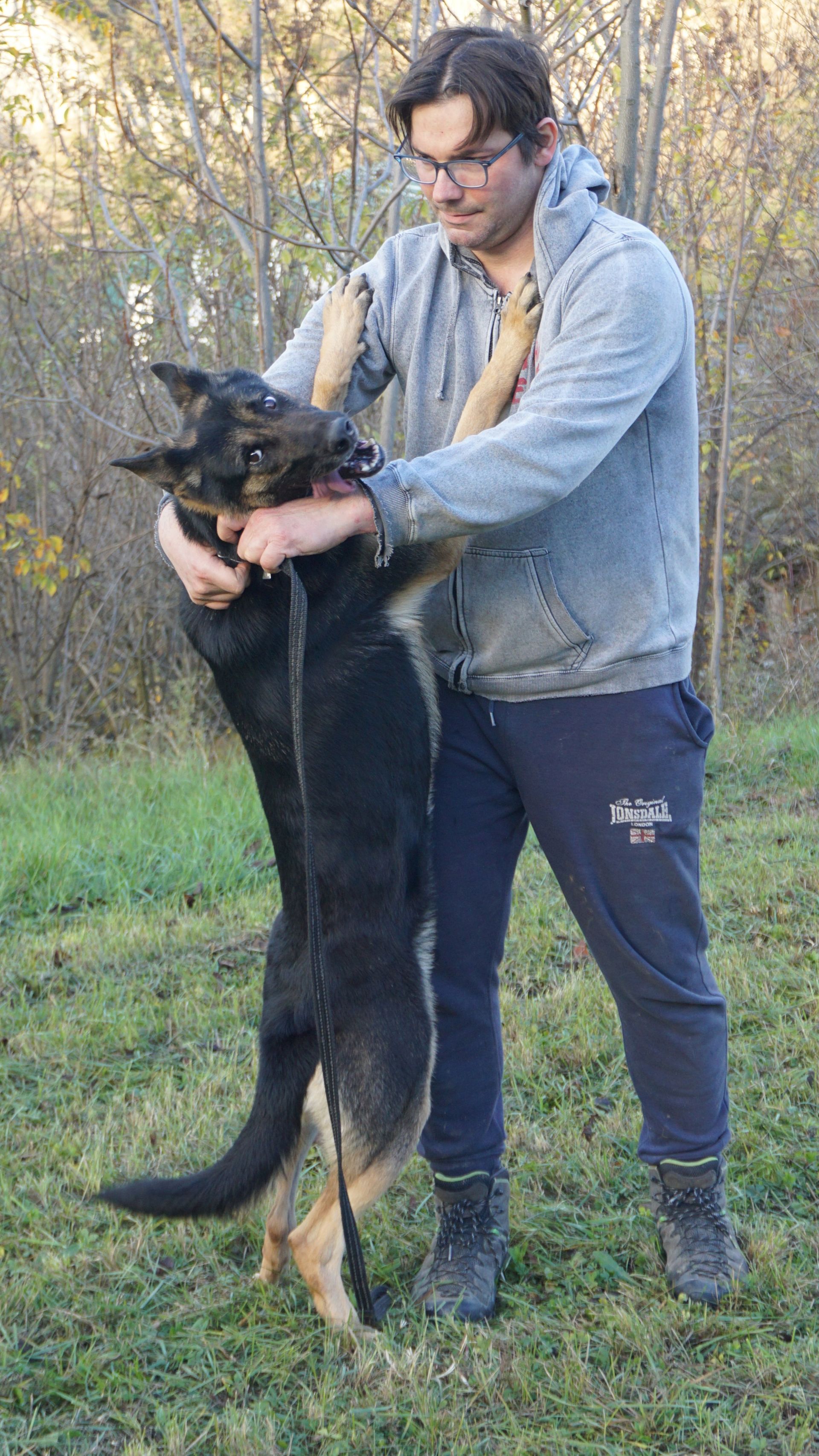 Un uomo tiene in braccio un grosso cane nero focato in un campo erboso. Il cane ha le zampe sul petto dell'uomo.