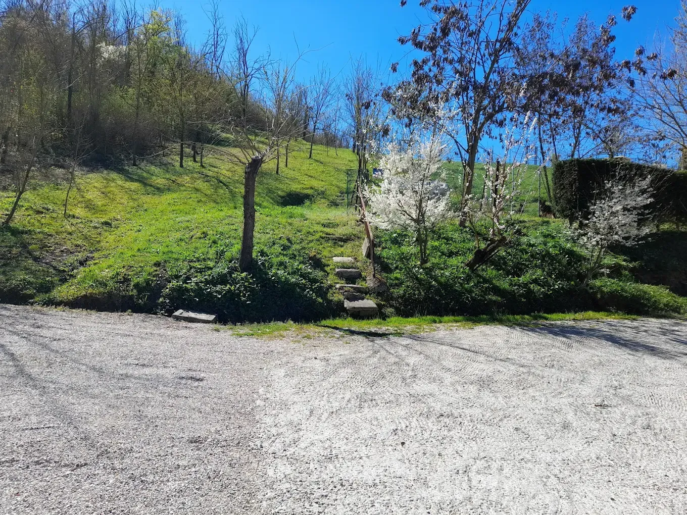 Un vialetto di ghiaia conduce a un pendio erboso con gradini e un palo di legno nelle giornate di sole.