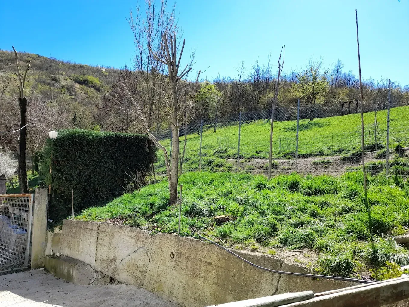 Pendio erboso con un muro di contenimento in cemento, una recinzione di filo spinato e alberi radi sotto un cielo azzurro.