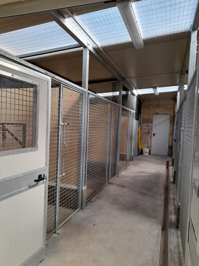 Corridoio interno per canili con gabbie metalliche, barriere in plastica trasparente e una porta bianca.