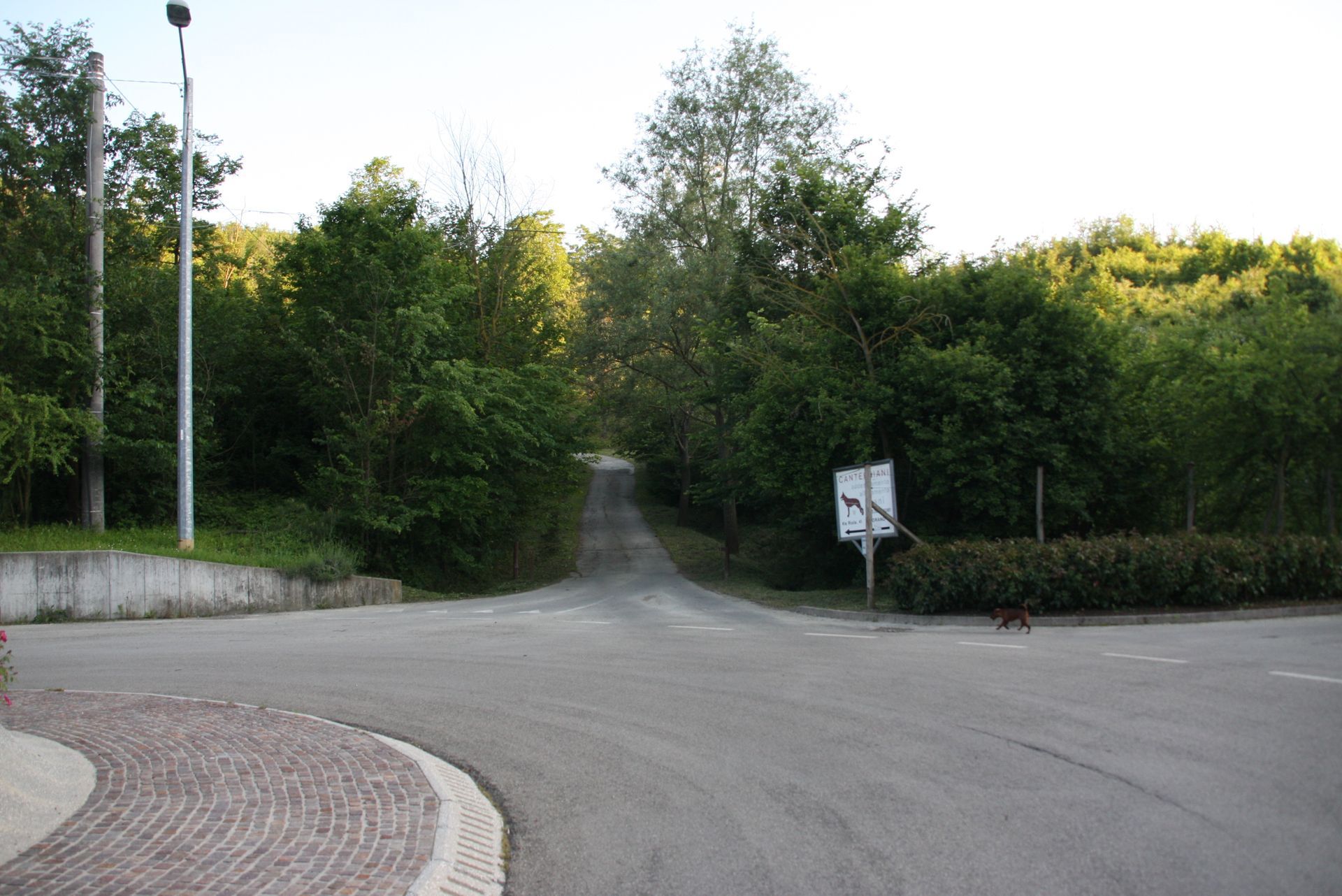 La strada asfaltata si biforca verso un sentiero alberato in salita; cartello sulla destra.