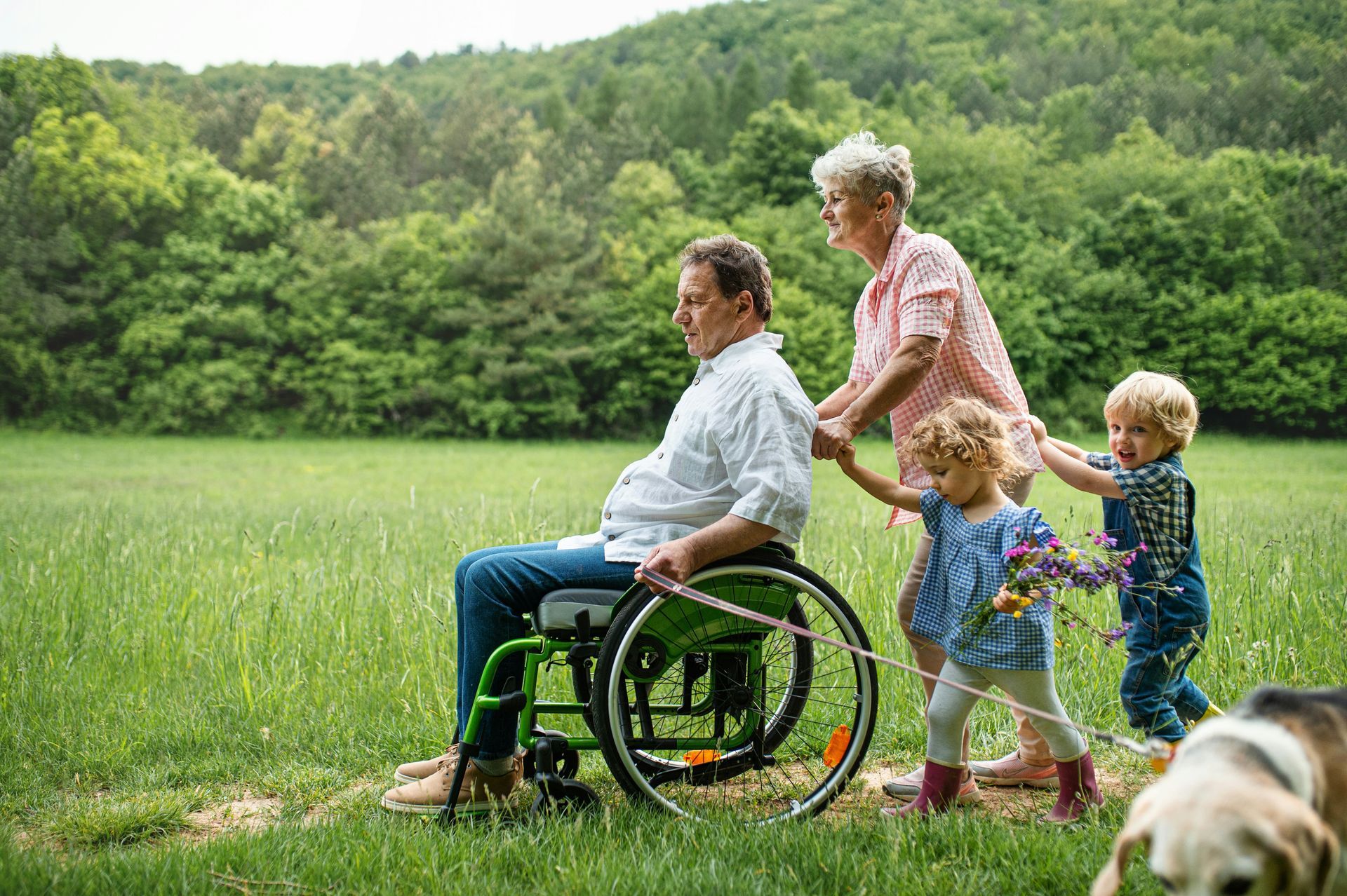 Man in wheelchair pushed by woman, children, dog in a field. Green wheelchair, trees, sunny day.
