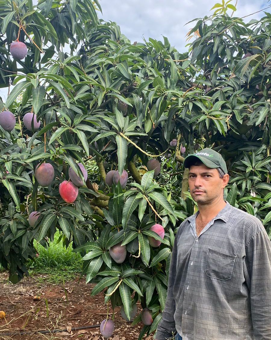 Bruno Rufino produtor de manga da cidade de itapolis