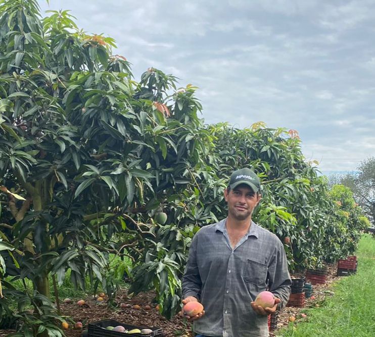 Bruno Rufino produtor de manga da cidade de itapolis