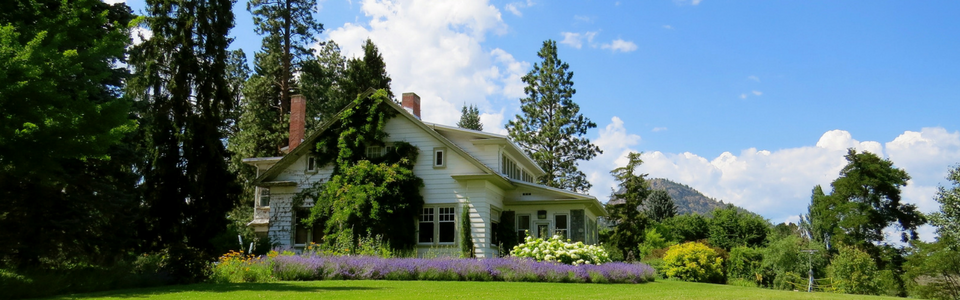 A white house with a green roof surrounded by trees and a lavender garden under a bright blue sky.