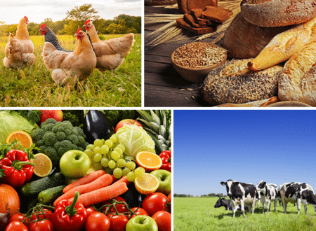 Boiler Supplier Near Me