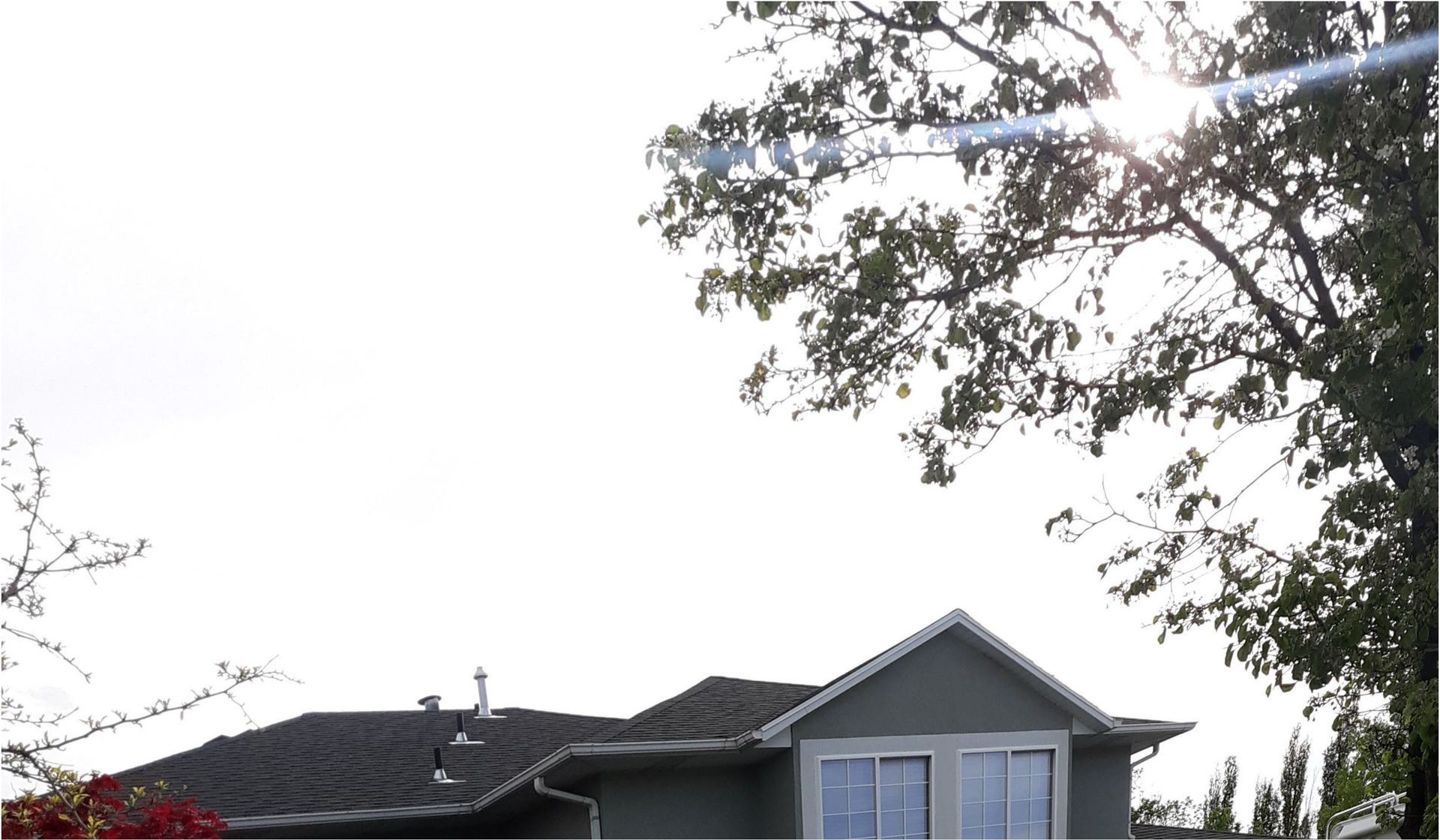 The sun is shining through the trees in front of a house