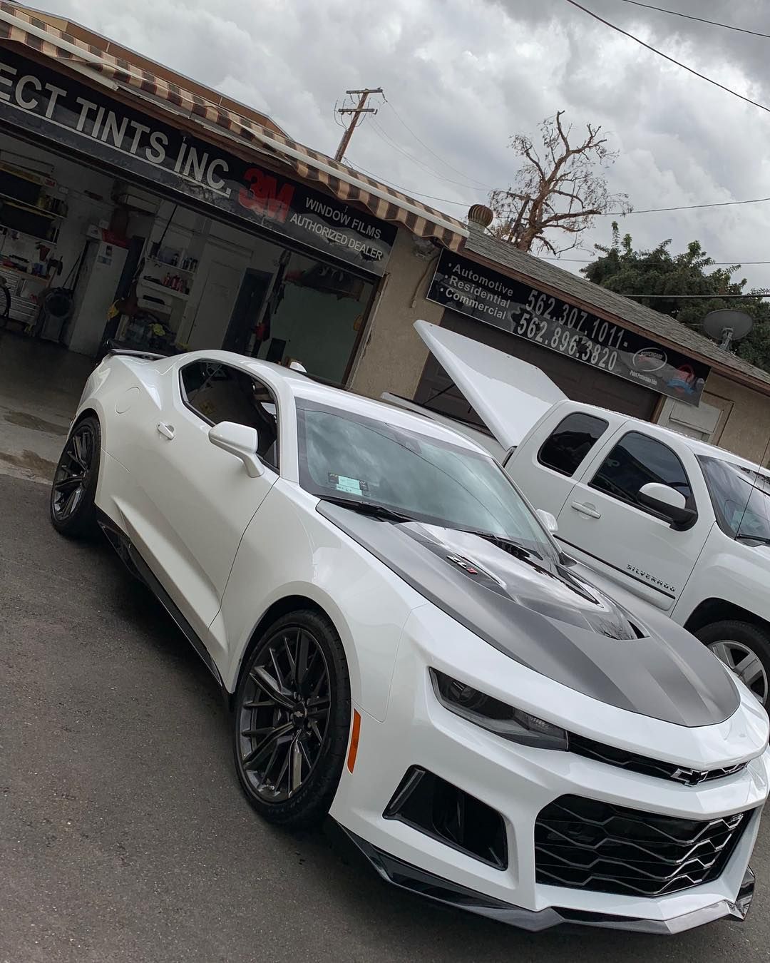 White Camaro with a black hood parked outside a tint shop.