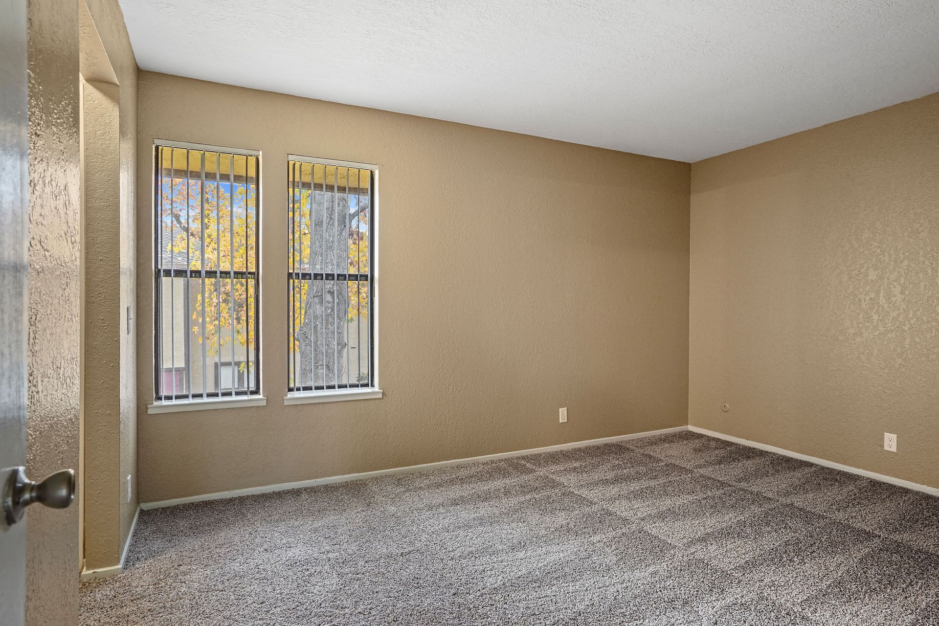Empty beige bedroom with carpet, two windows, and a door on the left.