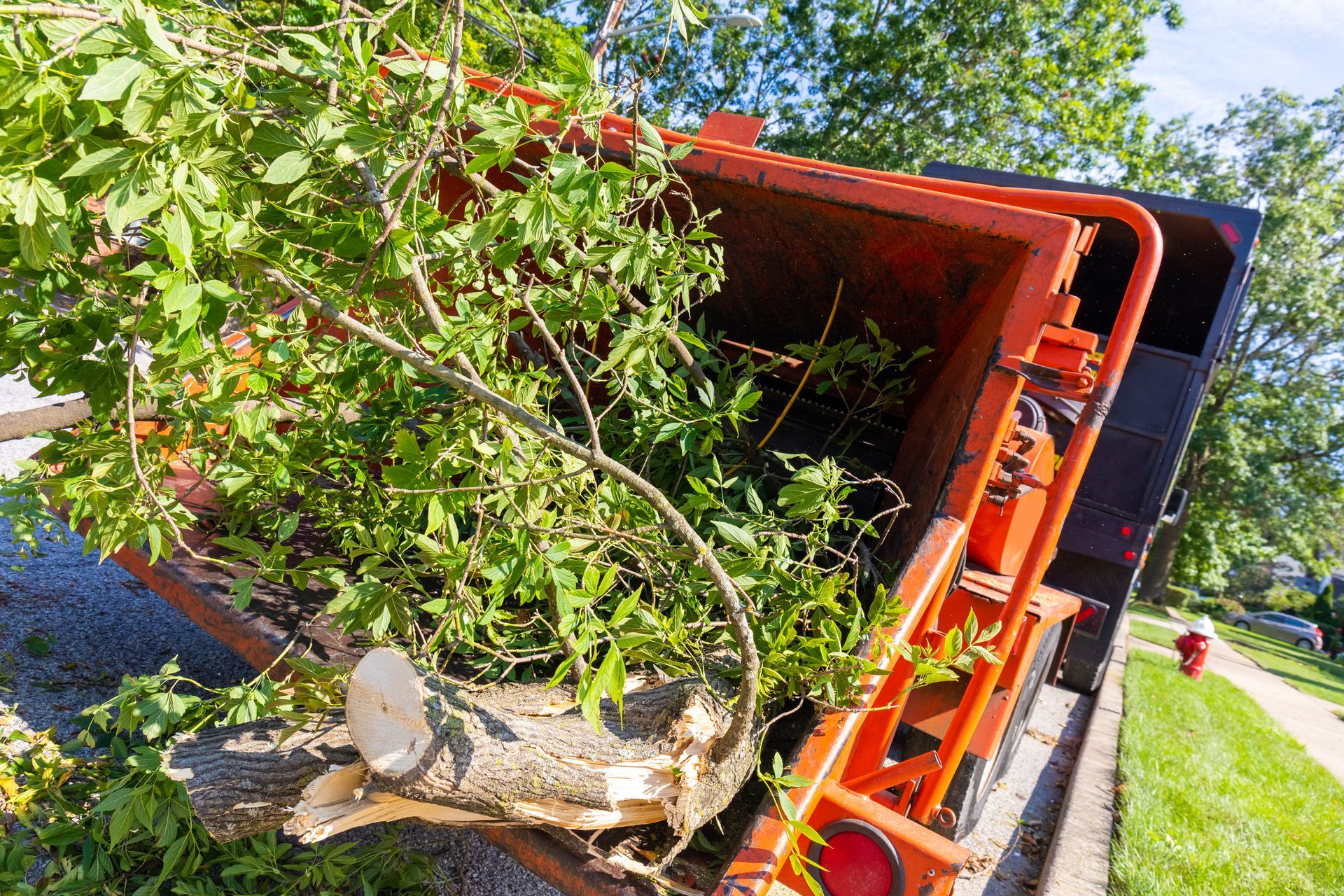 Orange dump truck bed overflowing with tree branches.