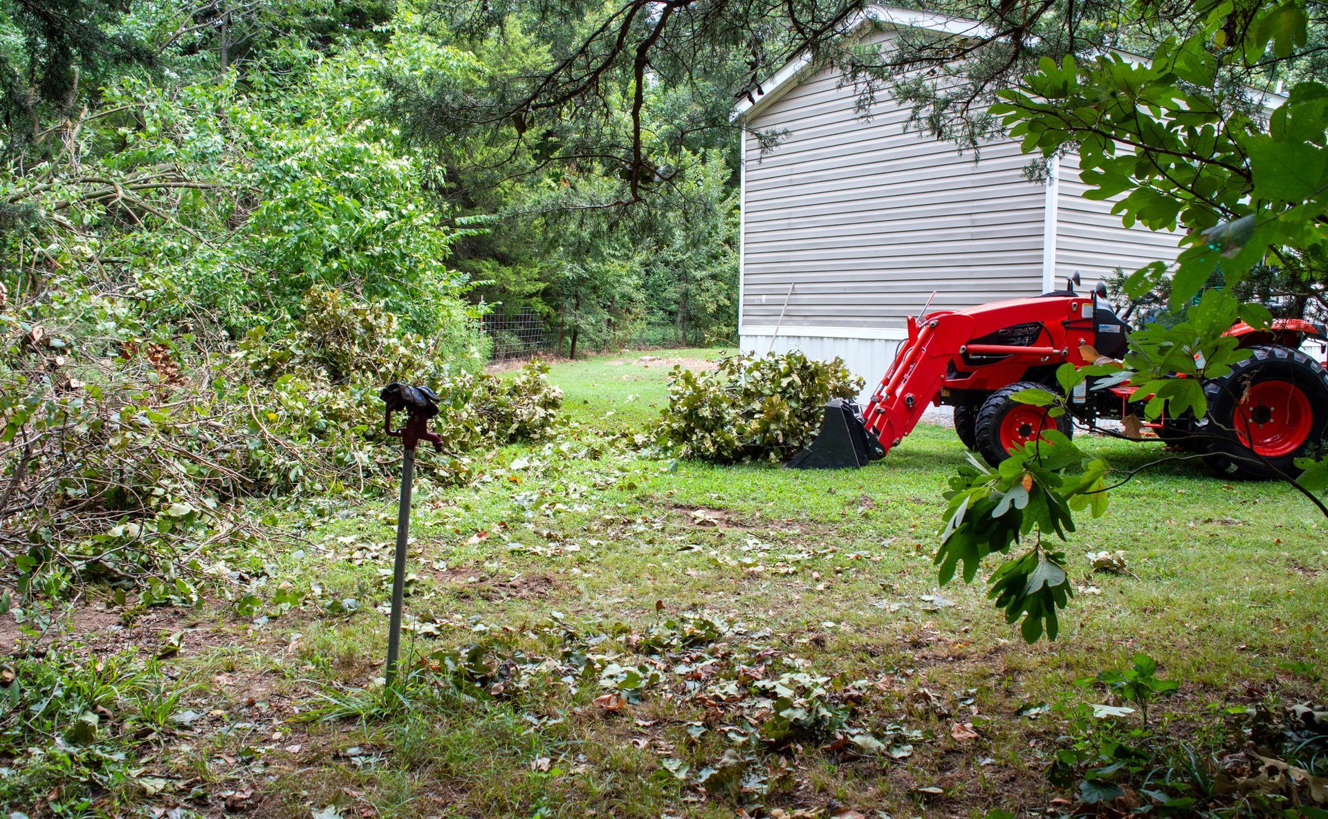 Person using a chainsaw to cut a fallen tree on a paved driveway, sunny day.