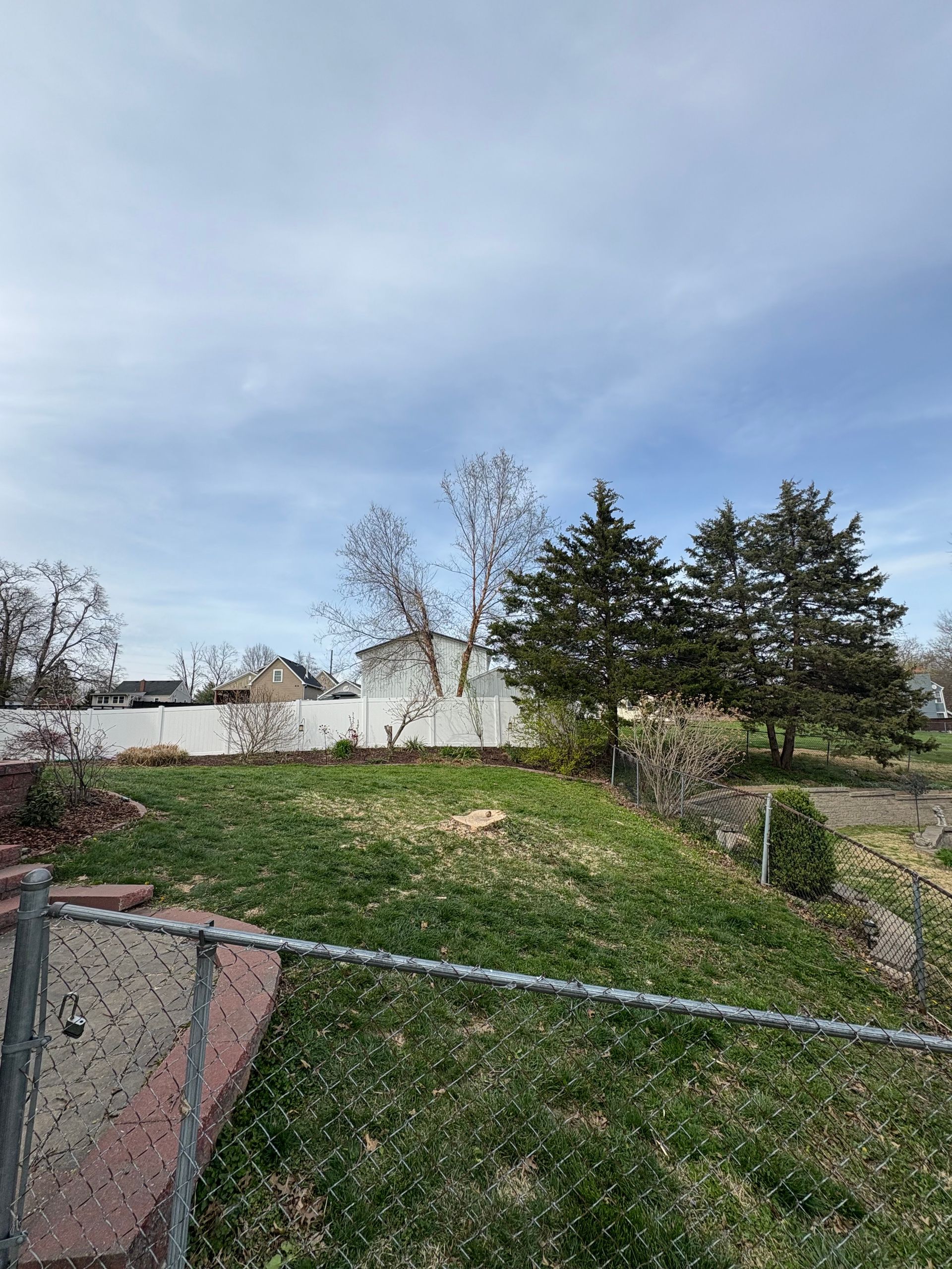 A backyard with green grass, a white fence, and evergreen trees under a cloudy sky.