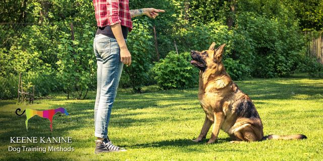 Clicker clearance training method