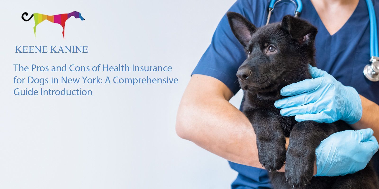 The Pros and Cons of Health Insurance for Dogs in New York: A Comprehensive Guide Introduction