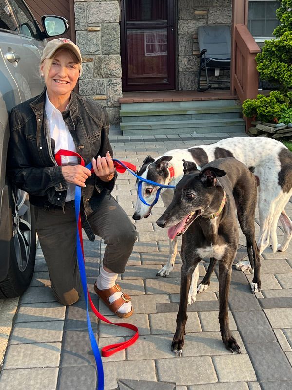 Maureen leash training two dogs