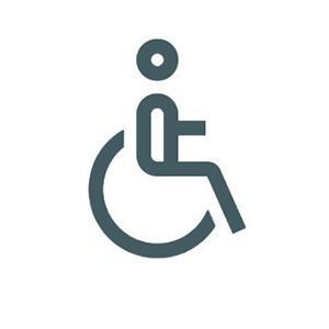 Accessibile ai disabili