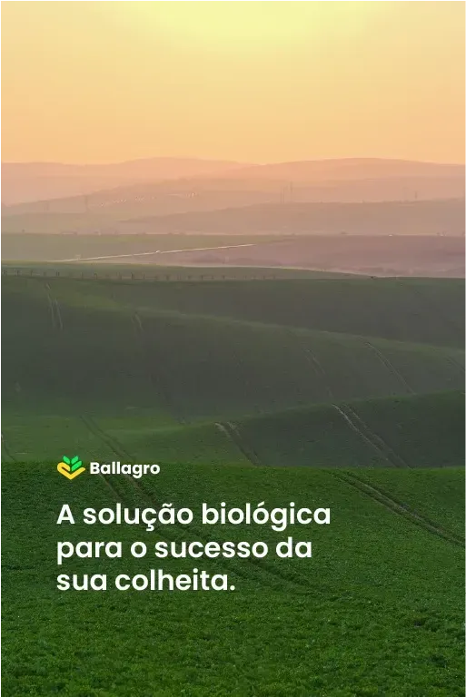 Rolling green fields with a soft sunset, Ballagro logo, and text 