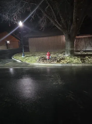 A red fire hydrant sits on a grassy corner at night, illuminated by a nearby street lamp beside a large tree.